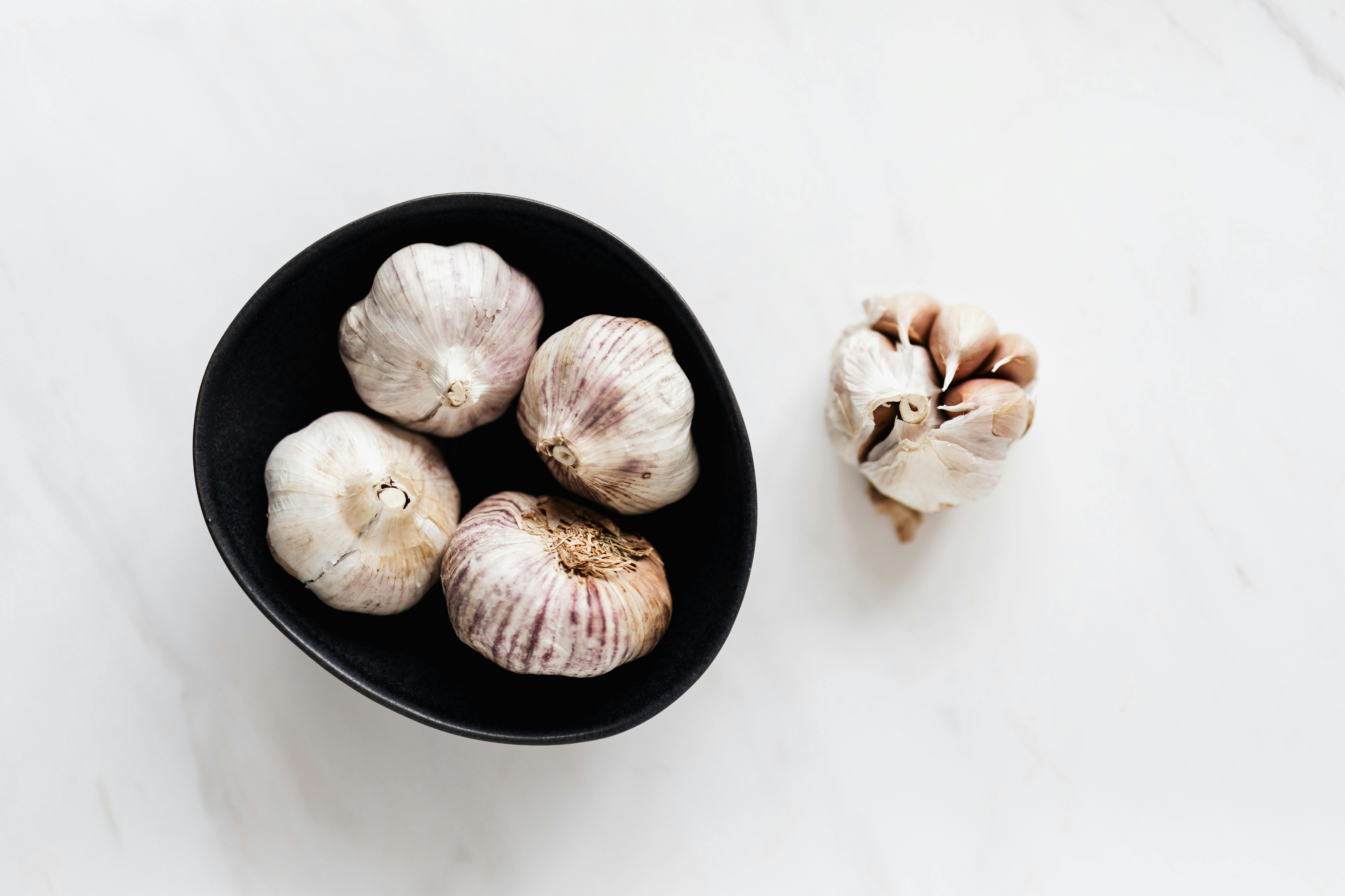resources_page.garlic