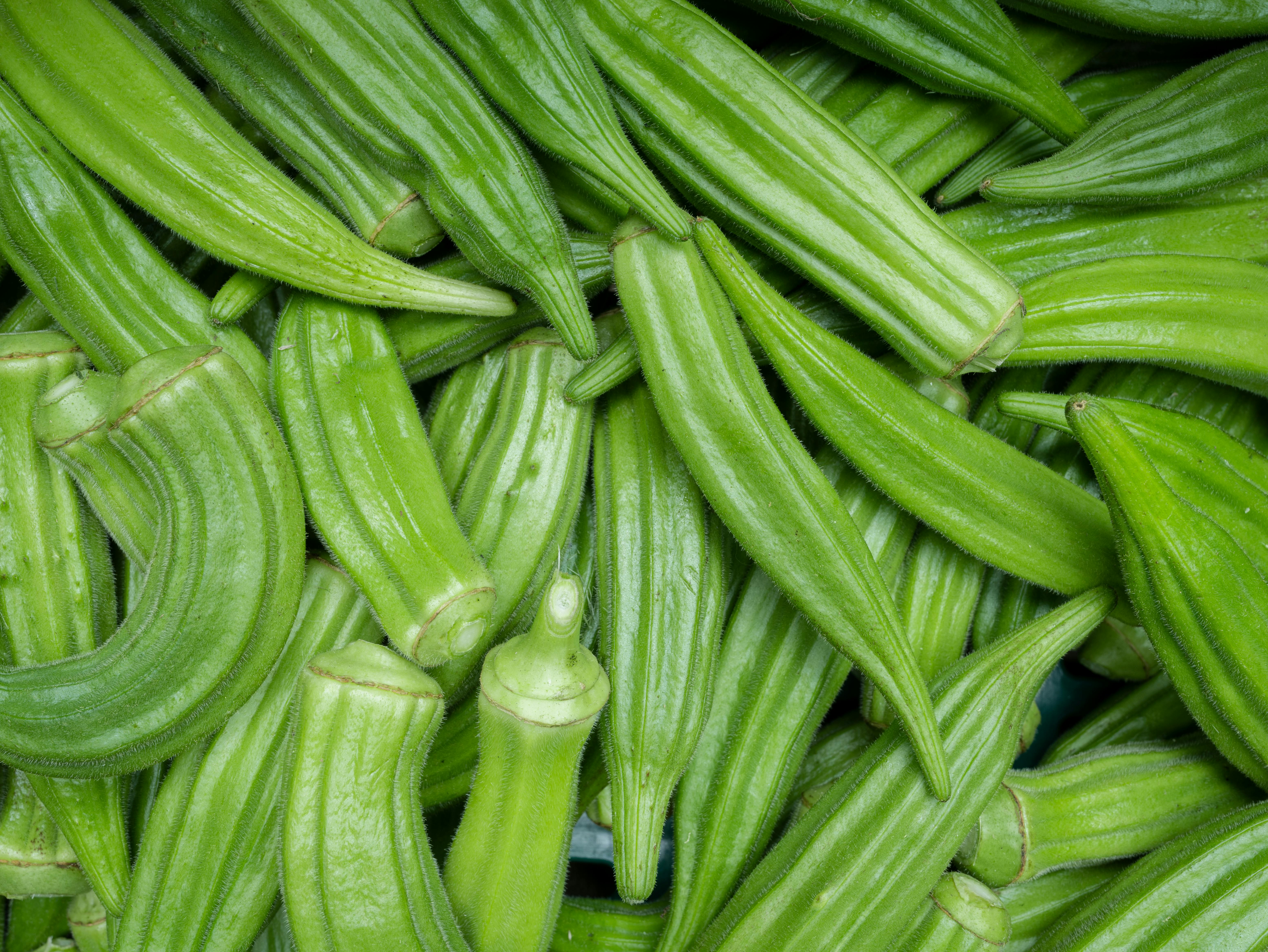 resources_page.okra