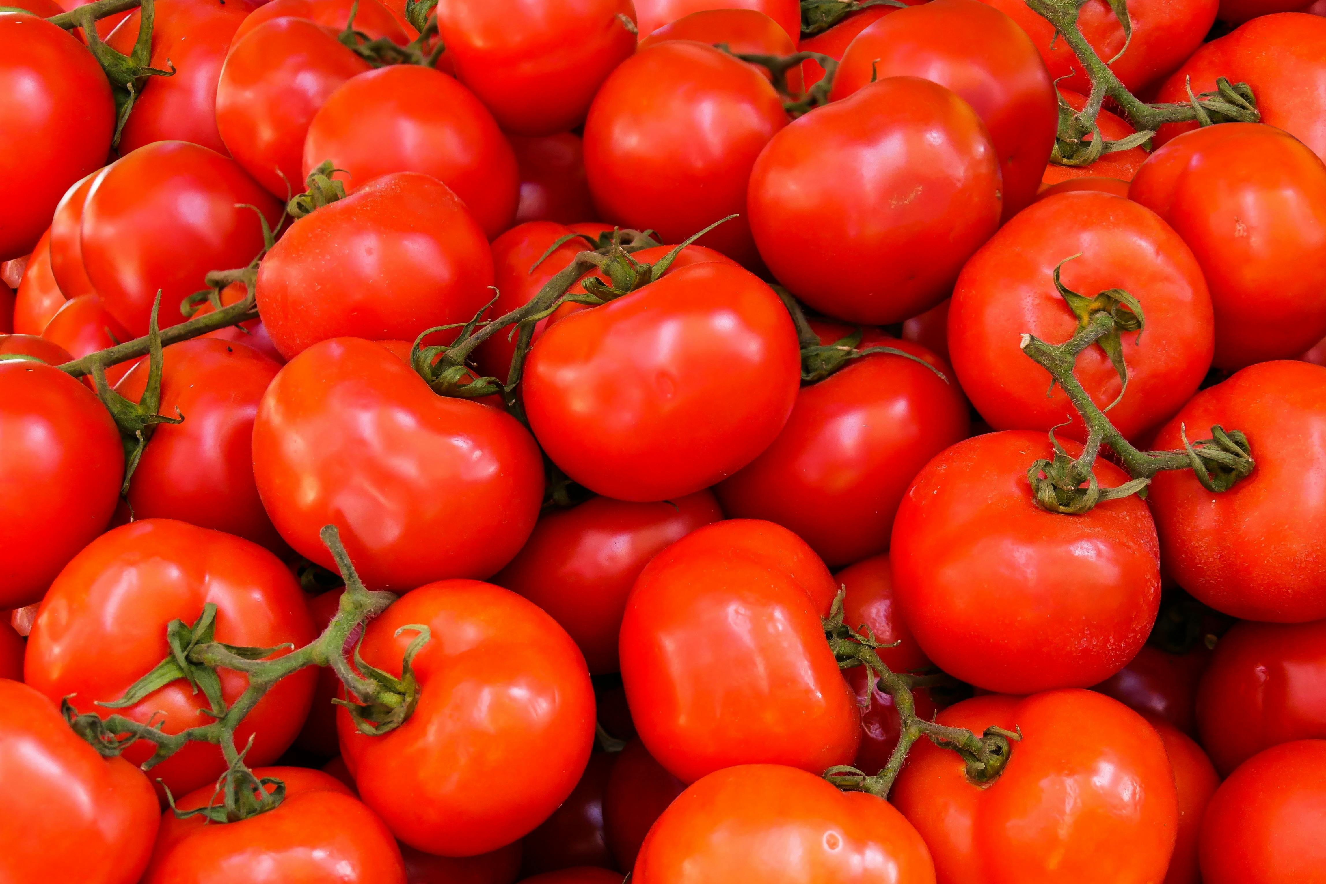 resources_page.tomatoes